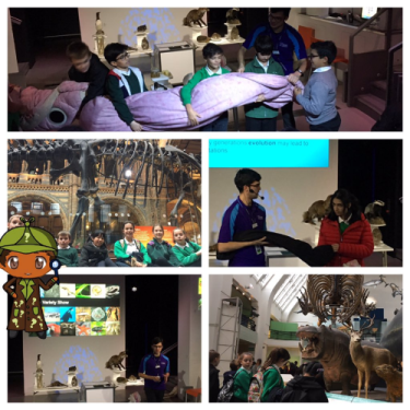 Natural History Museum Year 6.jpg